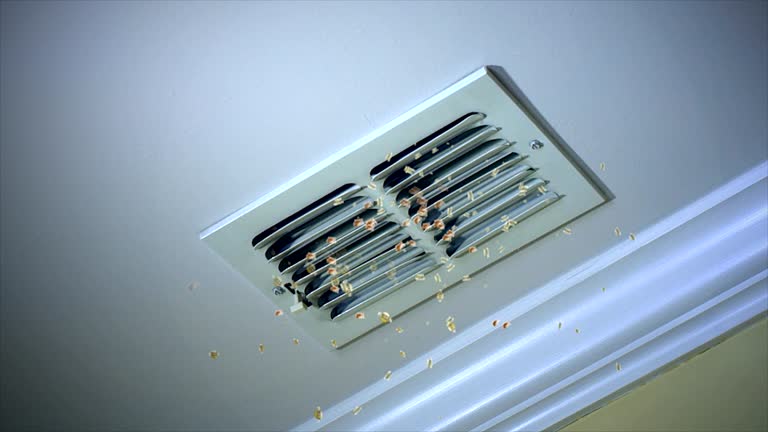 Best Affordable Air Duct Cleaning  in Monrovia, IN